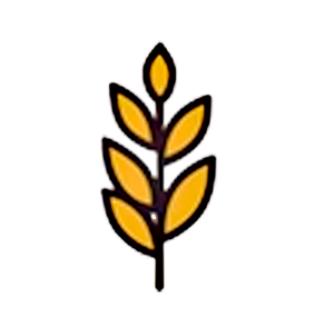 Premium, Sustainable Grains